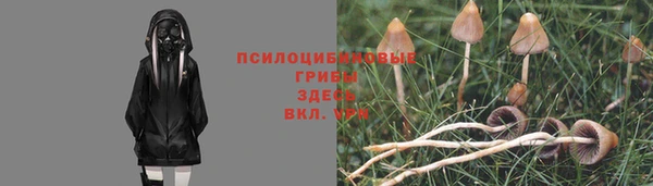 дмт Балабаново