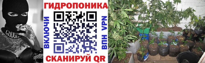 Конопля White Widow  Бузулук 